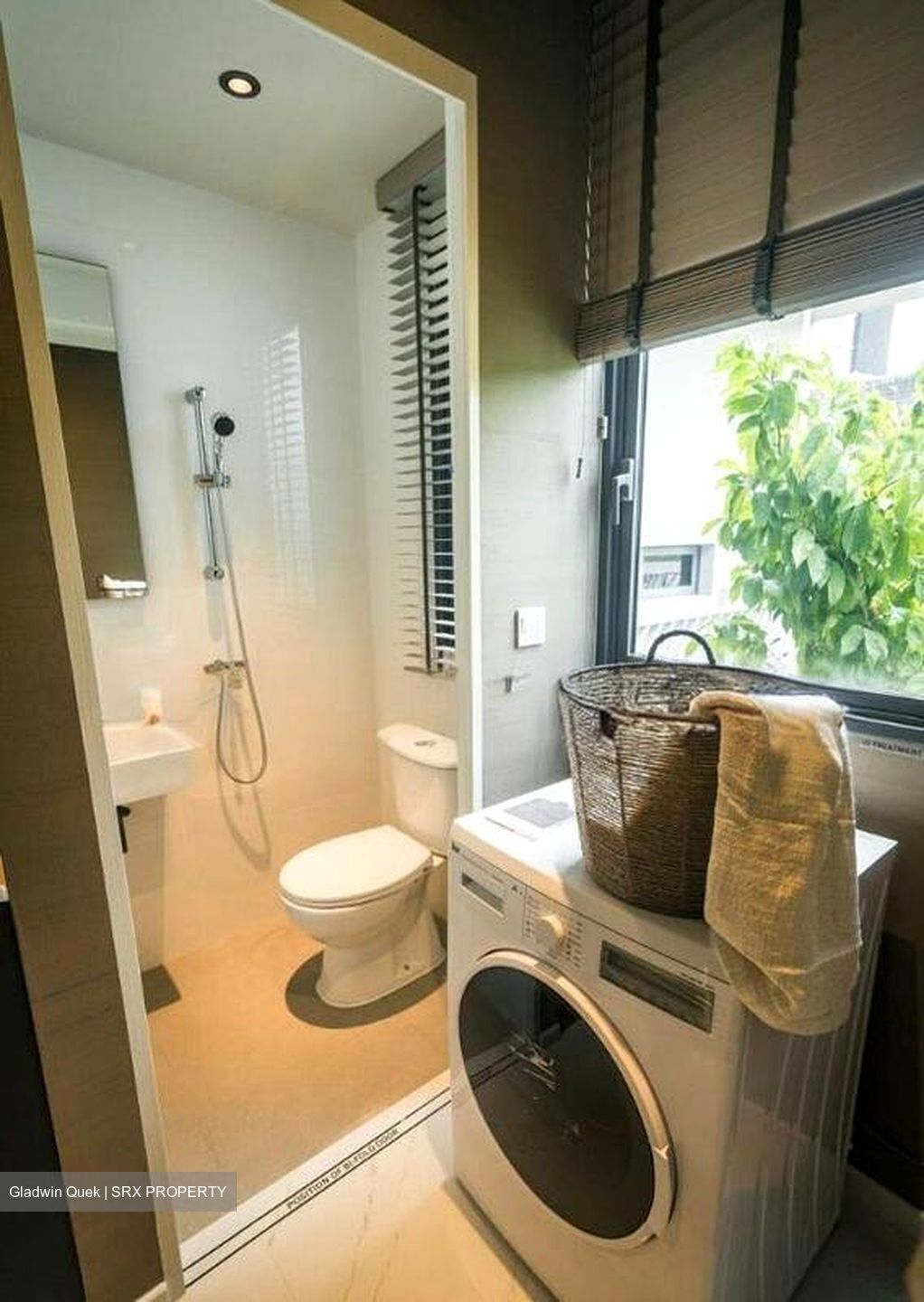 Scotts Highpark (D9), Condominium #583871081